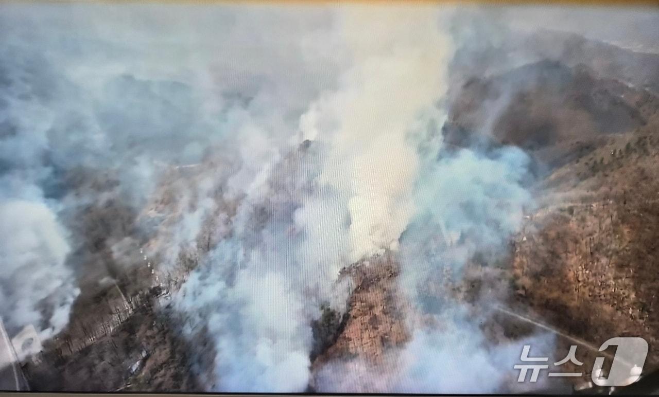 본문 이미지 - 26일 오후 1시 3분쯤 경북 포항시 남구 장기면 수성리 군시설 내 야산에서 불이나 헬기 10대가 진화 작업을 벌였다.(경북소방본부 제공. 재판매 및 DB 금지)2026.3.26/뉴스1