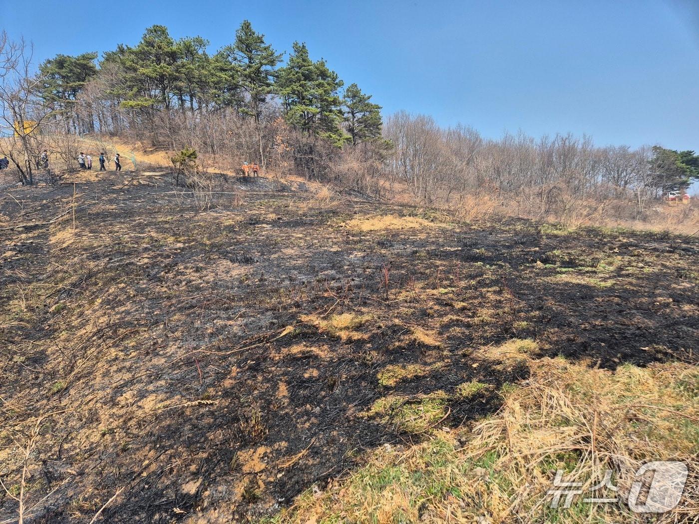 본문 이미지 - 26일 오후 1시 26분께 전북 임실군 관촌면의 한 야산에서 불이 났다.(전북소방본부 제공. 재판매 및 DB금지)