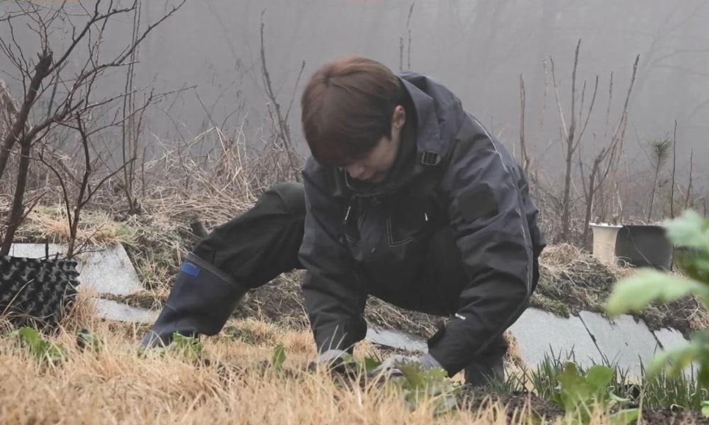 본문 이미지 - MBC