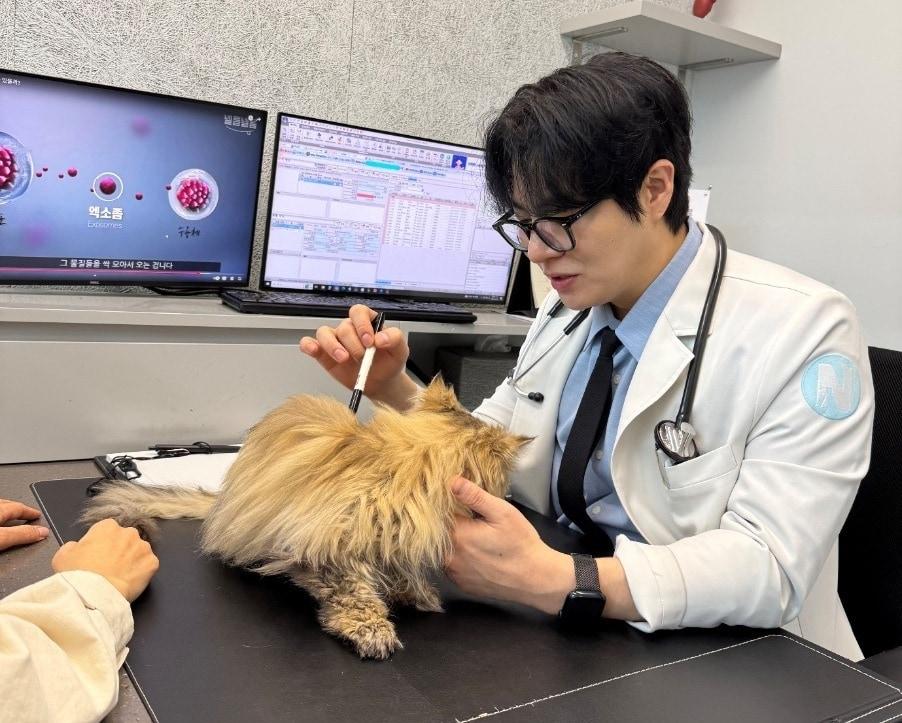 본문 이미지 - 손성지 24시 넬동물의료센터 원장이 보호자에게 줄기세포 치료에 대해 설명하고 있다(병원 제공). ⓒ 뉴스1