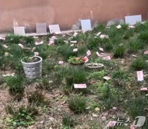 본문 이미지 - 충칭 지우룽포구 소재 고층 아파트 화단에 떨어진 위안화. (웨이보 갈무리)