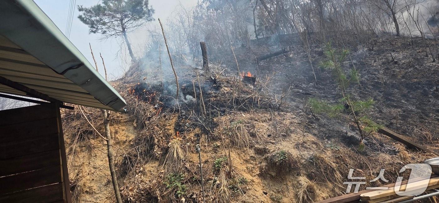 본문 이미지 - 강원 원주 소초면 평장리 산불 현장.(산림청 제공, 재판매 및 DB금지)
