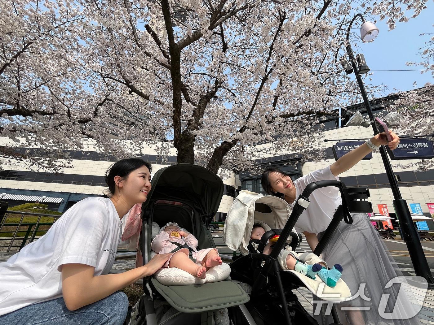 본문 이미지 - 27일 대구 달서구 테마파크 이월드를 찾은 시민들이 곱게 핀 벚꽃을 배경으로 기념사진을 찍고 있다. 2026.3.27 ⓒ 뉴스1 공정식 기자