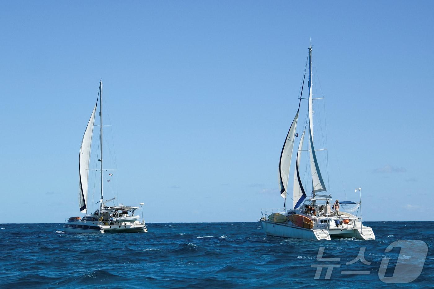 본문 이미지 - 활동가들이 탑승한 돛단배 프렌드십호와 티거 모스호가 21일(현지시간) 쿠바로 향하는 인도적 지원물자를 싣고 멕시코 킨타나로주 이슬라 무헤레스 항구를 떠나고 있다. 2026.03.21. ⓒ 로이터=뉴스1