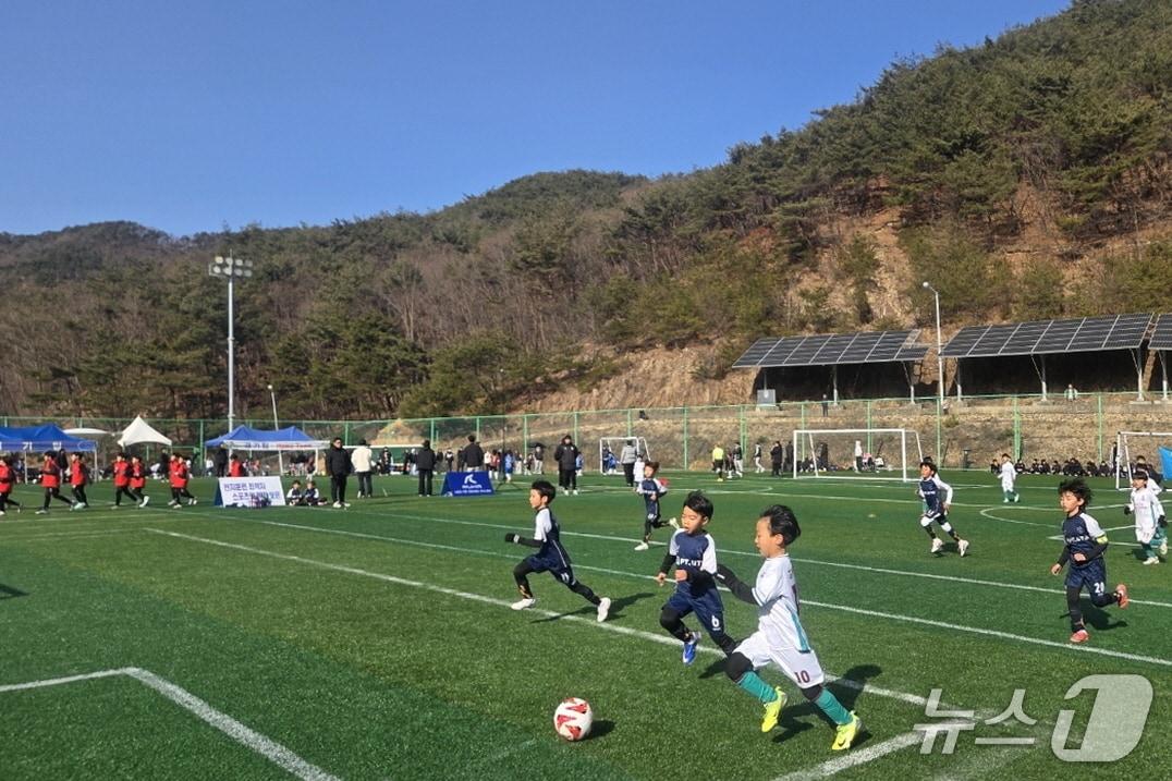 본문 이미지 - 전국 유소년 축구대회 장면(보은군 제공. 재판매 및 DB금지)  