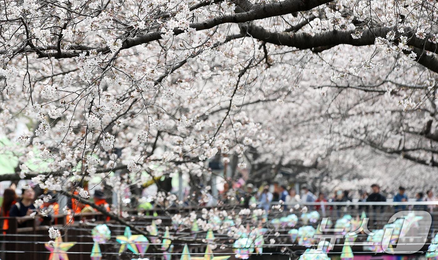 본문 이미지 - 전국 최대 벚꽃 축제인 '제64회 진해군항제'가 개막한 27일 경남 창원 진해구 여좌천을 찾은 관광객들이 벚꽃을 감상하고 있다. 제64회 진해군항제는 이날부터 4월 5일까지 10일간 진해구 전역에서 진행된다. 2026.3.27 ⓒ 뉴스1 윤일지 기자
