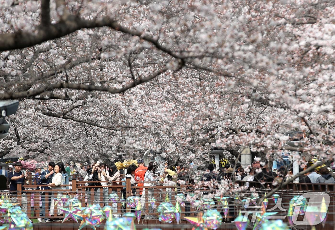 본문 이미지 - 전국 최대 벚꽃 축제인 '제64회 진해군항제'가 개막한 27일 경남 창원 진해구 여좌천을 찾은 관광객들이 벚꽃을 감상하고 있다.2026.3.27 ⓒ 뉴스1 윤일지 기자