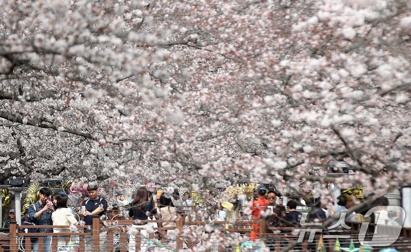 본문 이미지 - 전국 최대 벚꽃 축제인 '제64회 진해군항제'가 개막한 27일 경남 창원 진해구 여좌천을 찾은 관광객들이 벚꽃을 감상하고 있다. 제64회 진해군항제는 이날부터 4월 5일까지 10일간 진해구 전역에서 진행된다. 2026.3.27 ⓒ 뉴스1 윤일지 기자