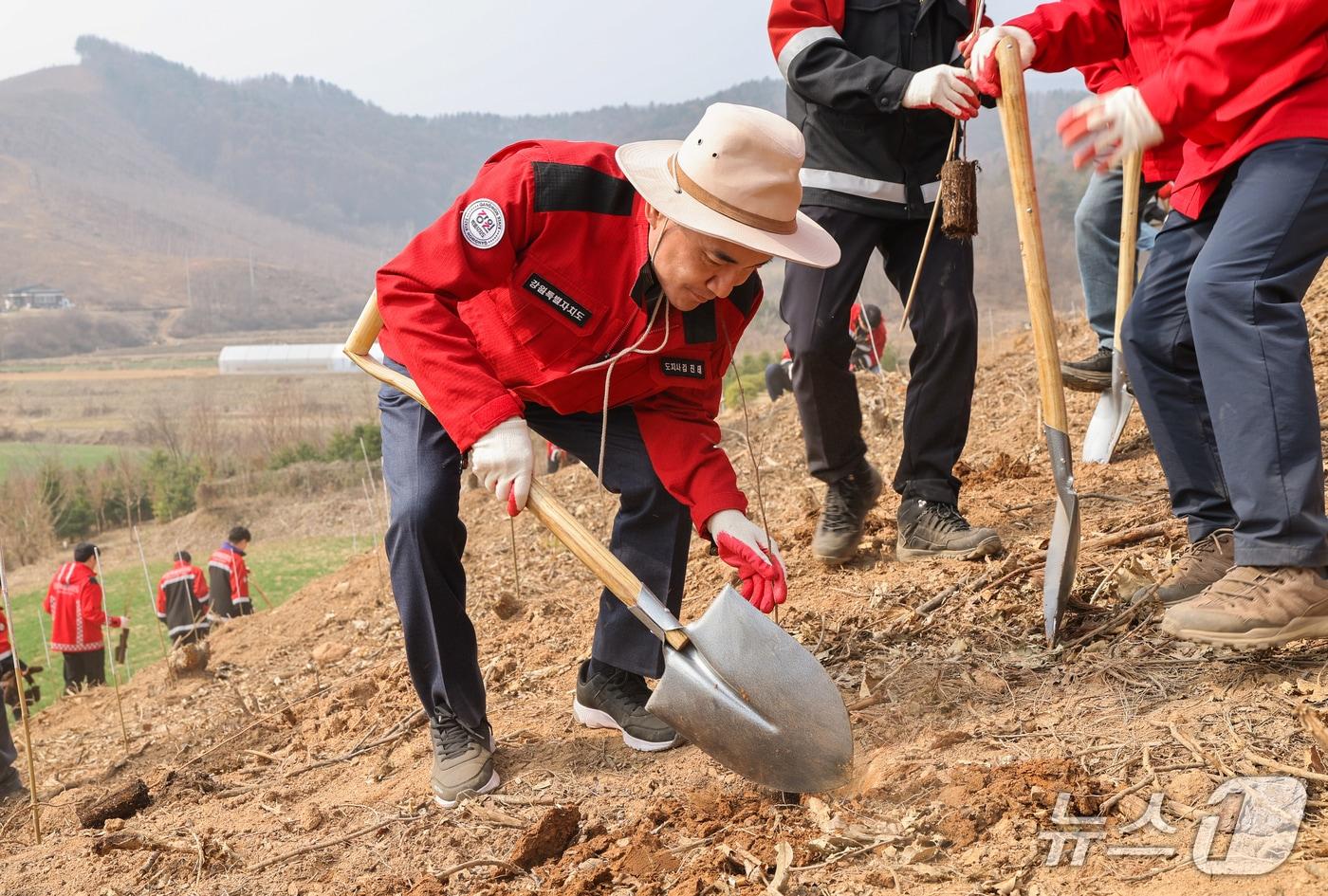 본문 이미지 - 제81회 식목일 기념행사.(강원도 제공. 재판매 및 DB금지)/뉴스1