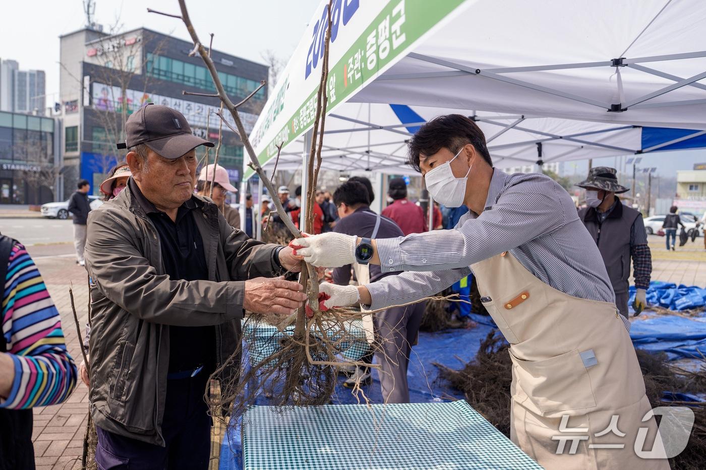 본문 이미지 - 충북 증평군이 27일 증평군립도서관 일원에서 81회 식목일을 기념해 '내 나무 갖기' 캠페인을 열고 유실수 묘목 1800그루를 나눠줬다.(증평군 제공. 재판매 및 DB금지)