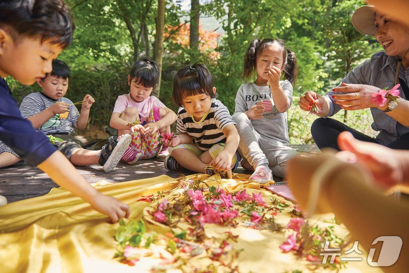 본문 이미지 - 숲오감체험(산림청 한국산림복지진흥원 제공.재판매 및 DB금지)/뉴스1