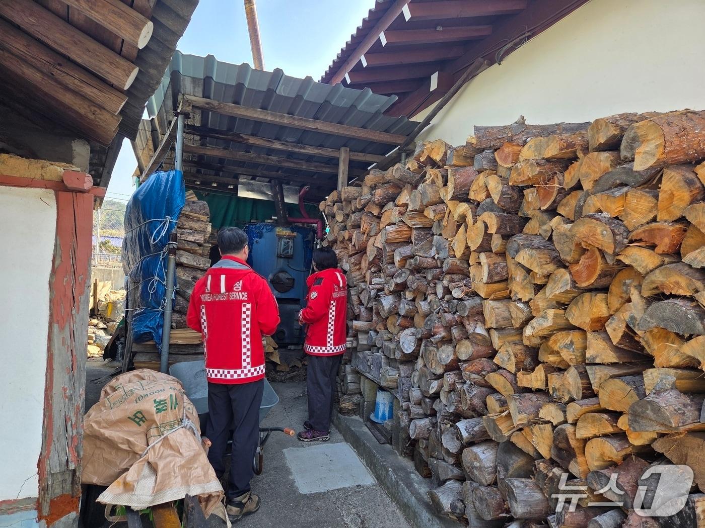 본문 이미지 - 화목 농가 단속 현장.(동부산림청 제공, 재판매 및 DB 금지) 2026.3.27/뉴스1