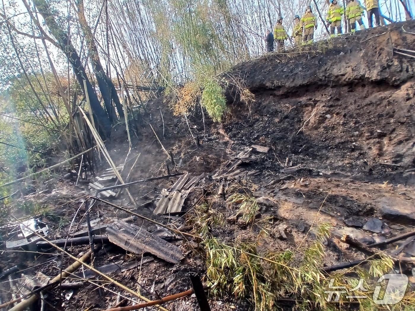 본문 이미지 - 27일 오후 2시 36분께 전북 고창군 고창읍의 한 대나무밭에서 화재가 발생해 약 1시간 만에 진화됐다.(전북소방본부 제공. 재판매 및 DB금지)