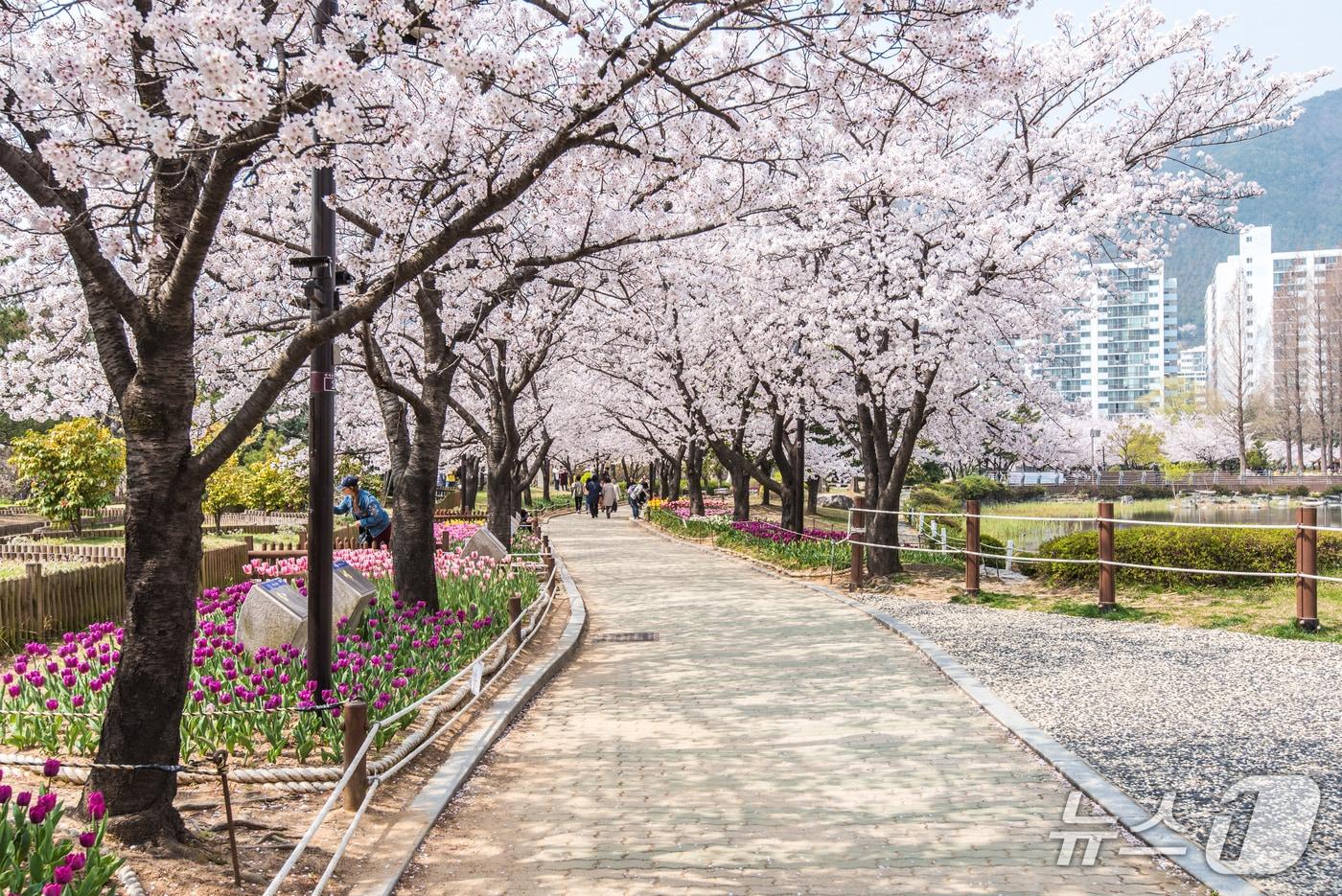 본문 이미지 - 김해 연지공원.(김해시 제공. 재판매 및 DB금지)