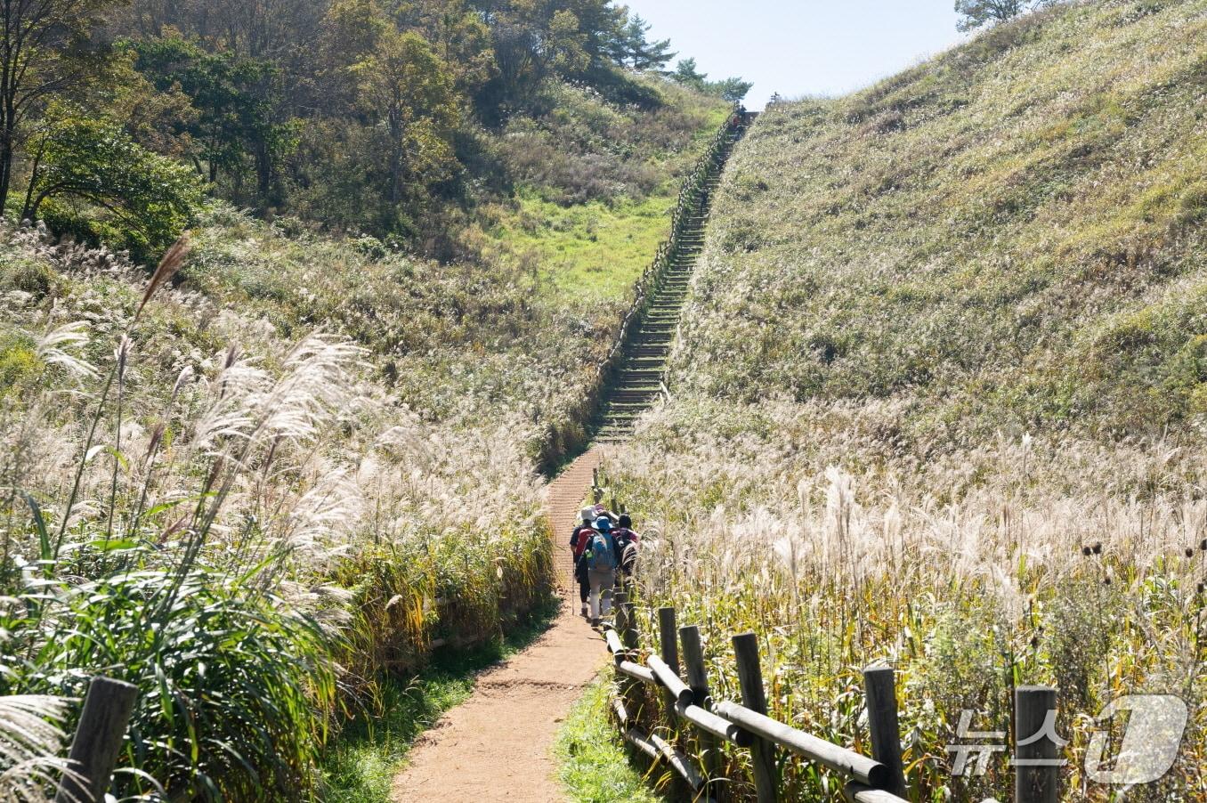 본문 이미지 - 강원 정선군 민둥산. (정선군 제공. 재판매 및 DB금지) 2026.3.27/뉴스1