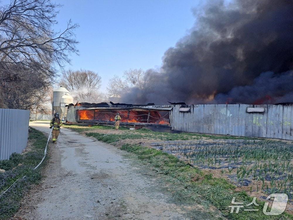 본문 이미지 - 28일 오전 11시 28분께 전북 부안군 주산면 한 양계장에서 발생한 화재가 3시간 만에 진화됐다.(소방제공, 재판매 및 DB금지)2026.3.28/뉴스1