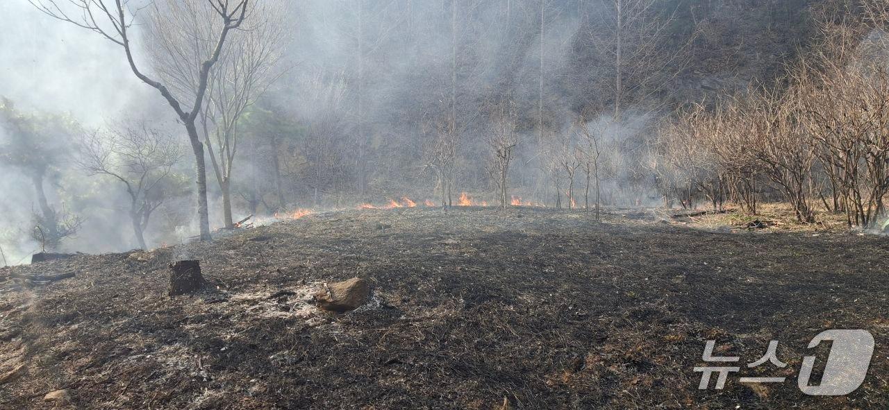 본문 이미지 - 화재 현장. (경기도소방재난본부 제공. 재판매 및 DB 금지) 2026.3.28/뉴스1