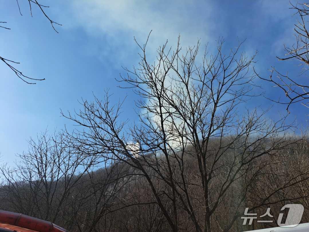 본문 이미지 - 양구 방산면 민통선 인근 산불.(강원도소방본부 제공, 재판매 및 DB 금지) 2026.3.28/뉴스1