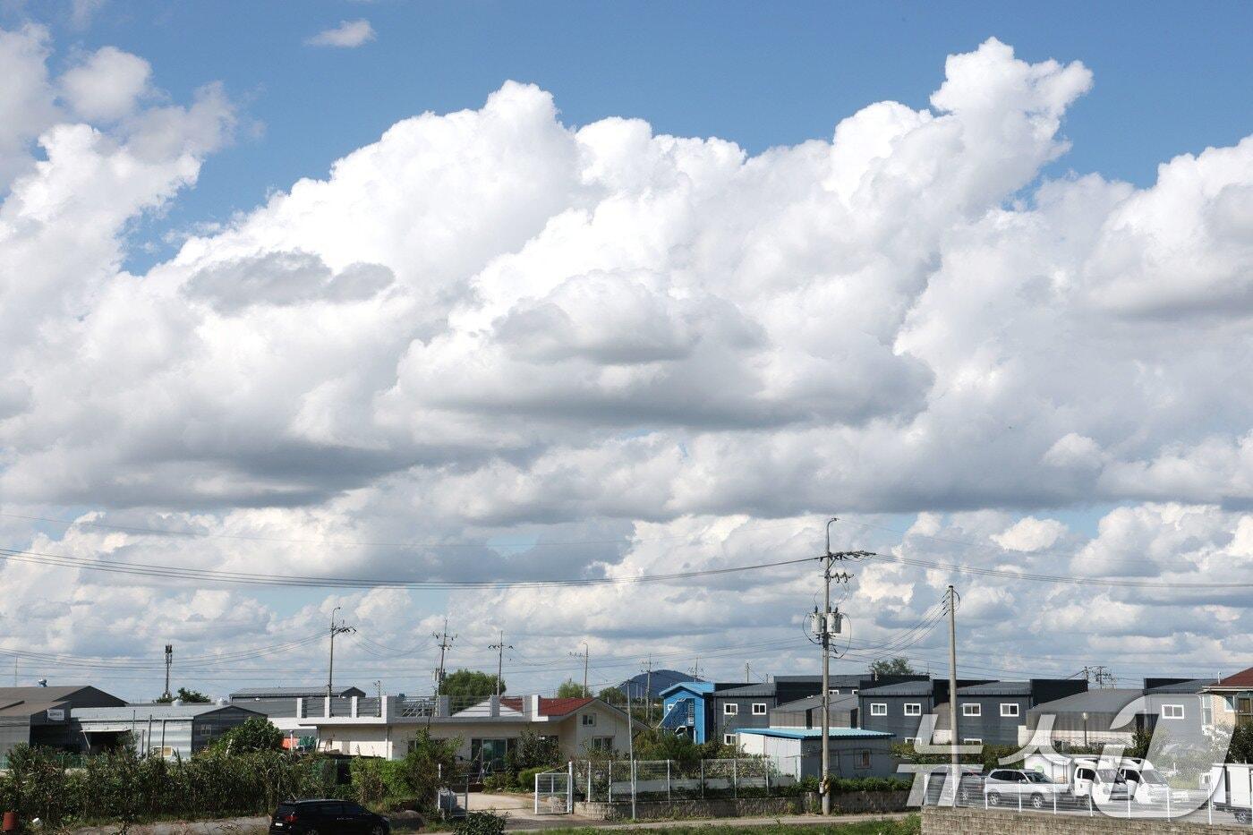 본문 이미지 - (사진은 기사 내용과 무관함) / 뉴스1 ⓒ News1