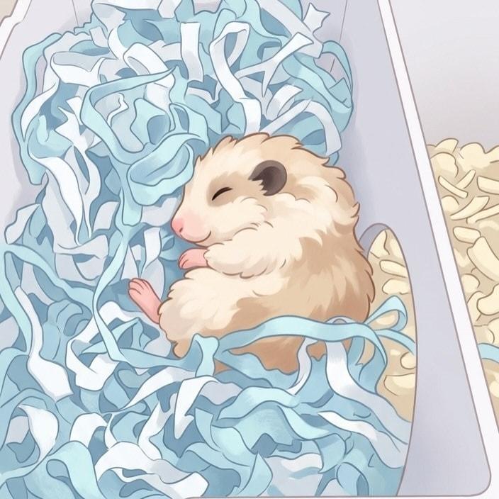 지난 15일 보호자는 골무가 편안하게 눈을 감았다는 소식을 전했다(인스타그램 golmu.ham 제공) ⓒ 뉴스1