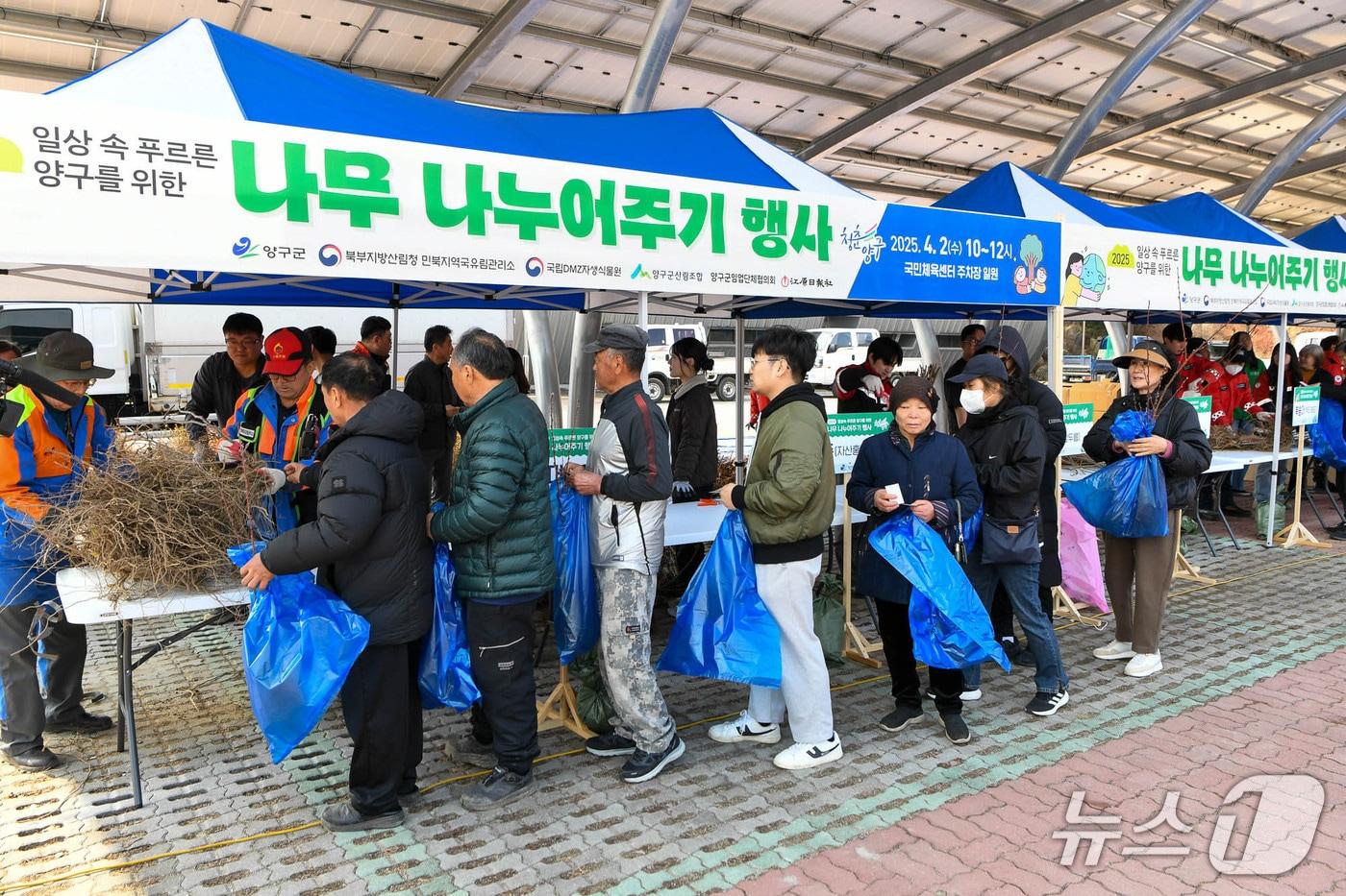 본문 이미지 - 지난해 열린 양구군, 나무나누어주기 행사 현장.(양구군 제공, 재판매 및 DB금지)