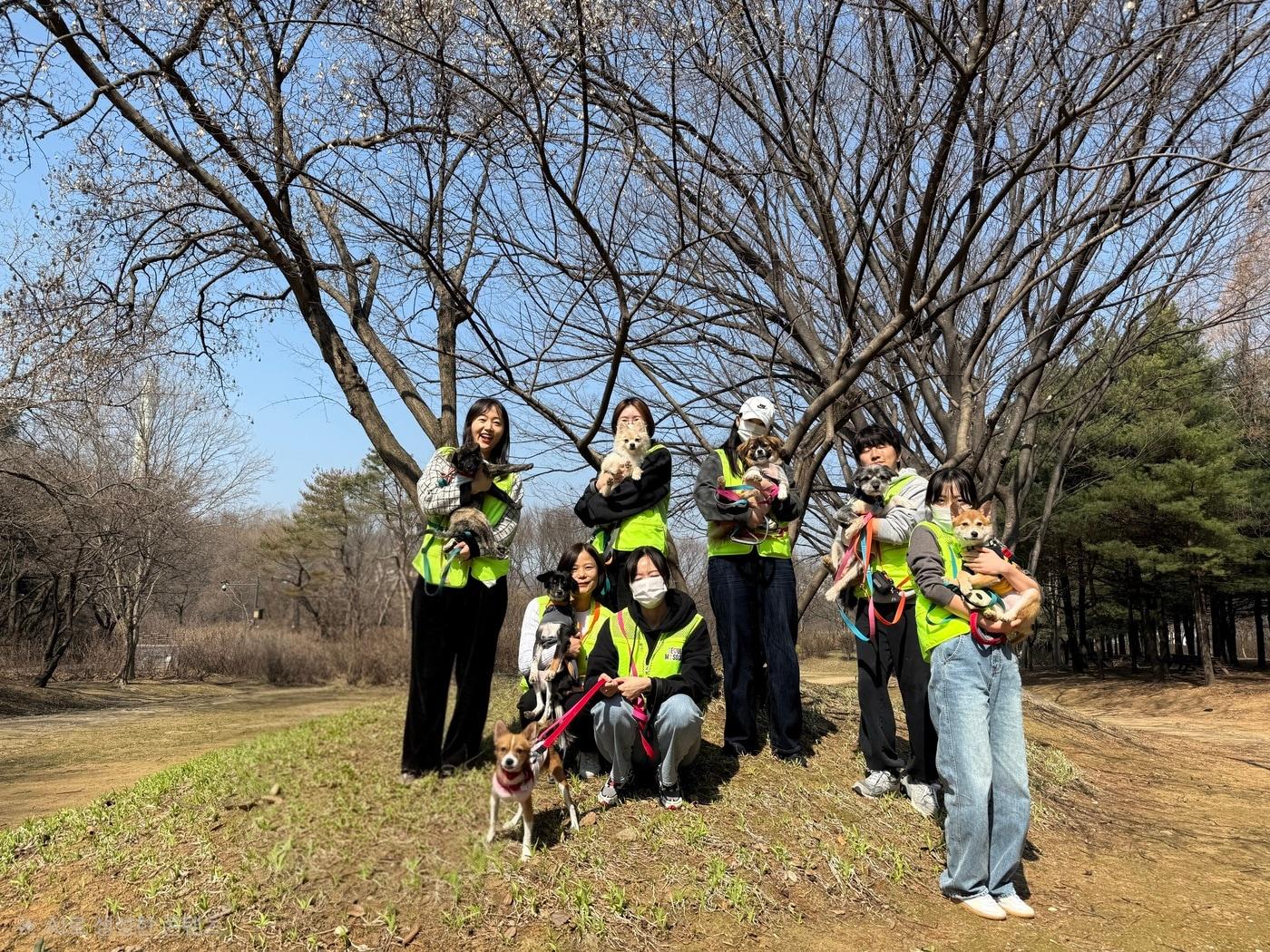 본문 이미지 - 에쓰오일(S-OIL) 임직원들이 서울시립동물복지지원센터 내 유기견들과 산책을 나선 뒤 기념 사진을 촬영한 모습(자료사진. 에쓰오일 제공). 2026.3.29.