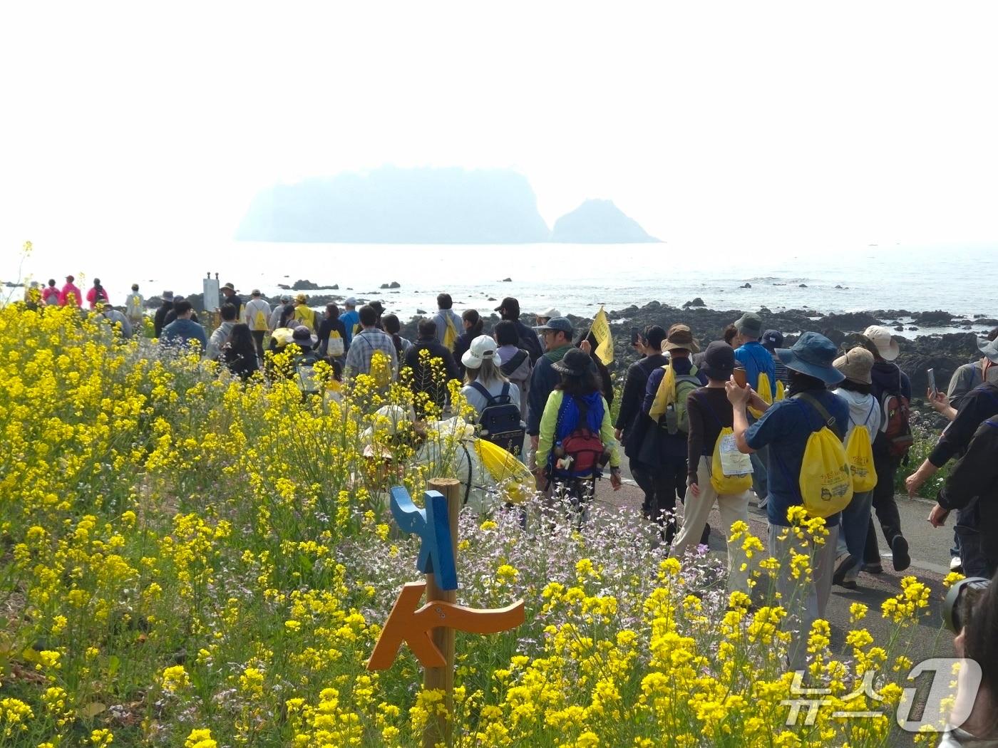 본문 이미지 - 서귀포 유채꽃 걷기 대회(서귀포시 제공. 재판매 및 DB금지)/뉴스1