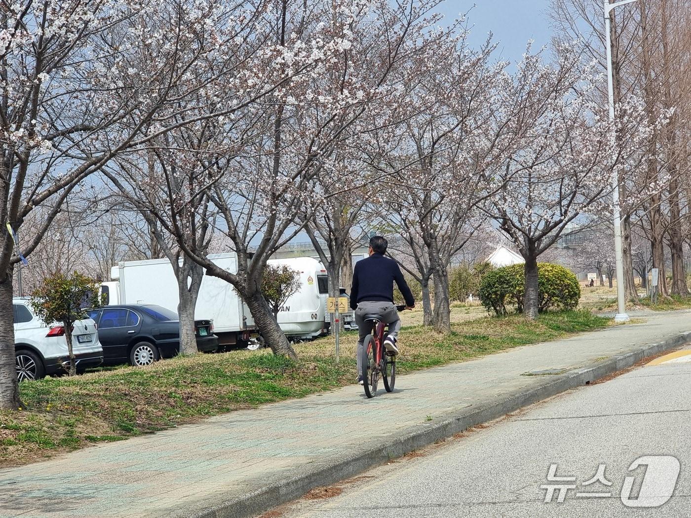본문 이미지 - 3월의 마지막 휴일인 29일, 따뜻한 봄 날씨를 맞은 부산은 주요 벚꽃 명소와 화명생태공원에는 야외 활동을 즐기려는 시민들로 종일 북적였다. 2026.3.29/뉴스1 ⓒ News1 임순택 기자