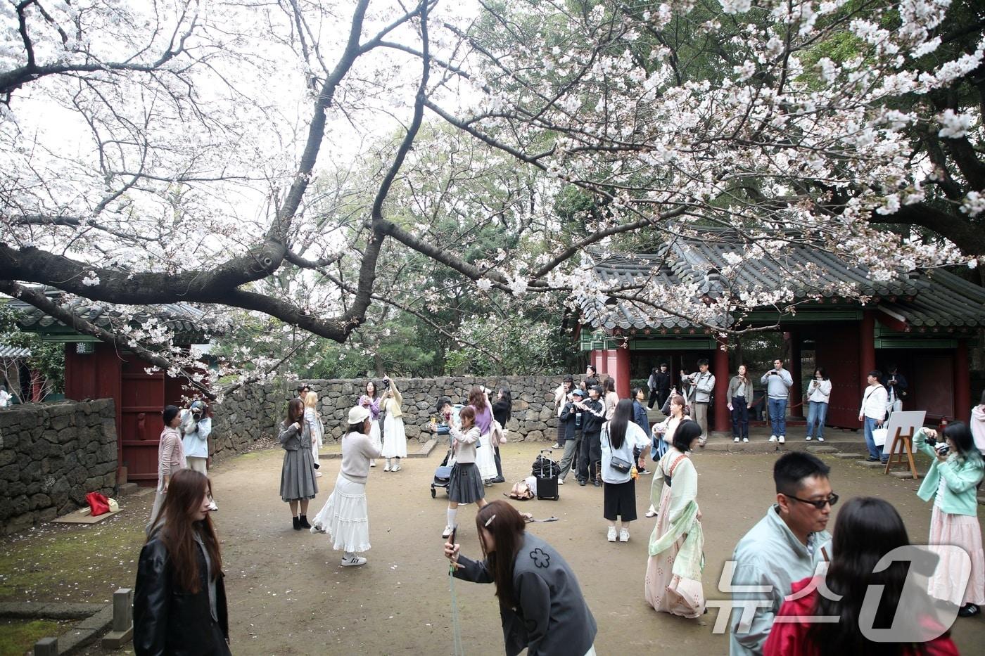 본문 이미지 - 제주 관광객(자료사진)/뉴스1