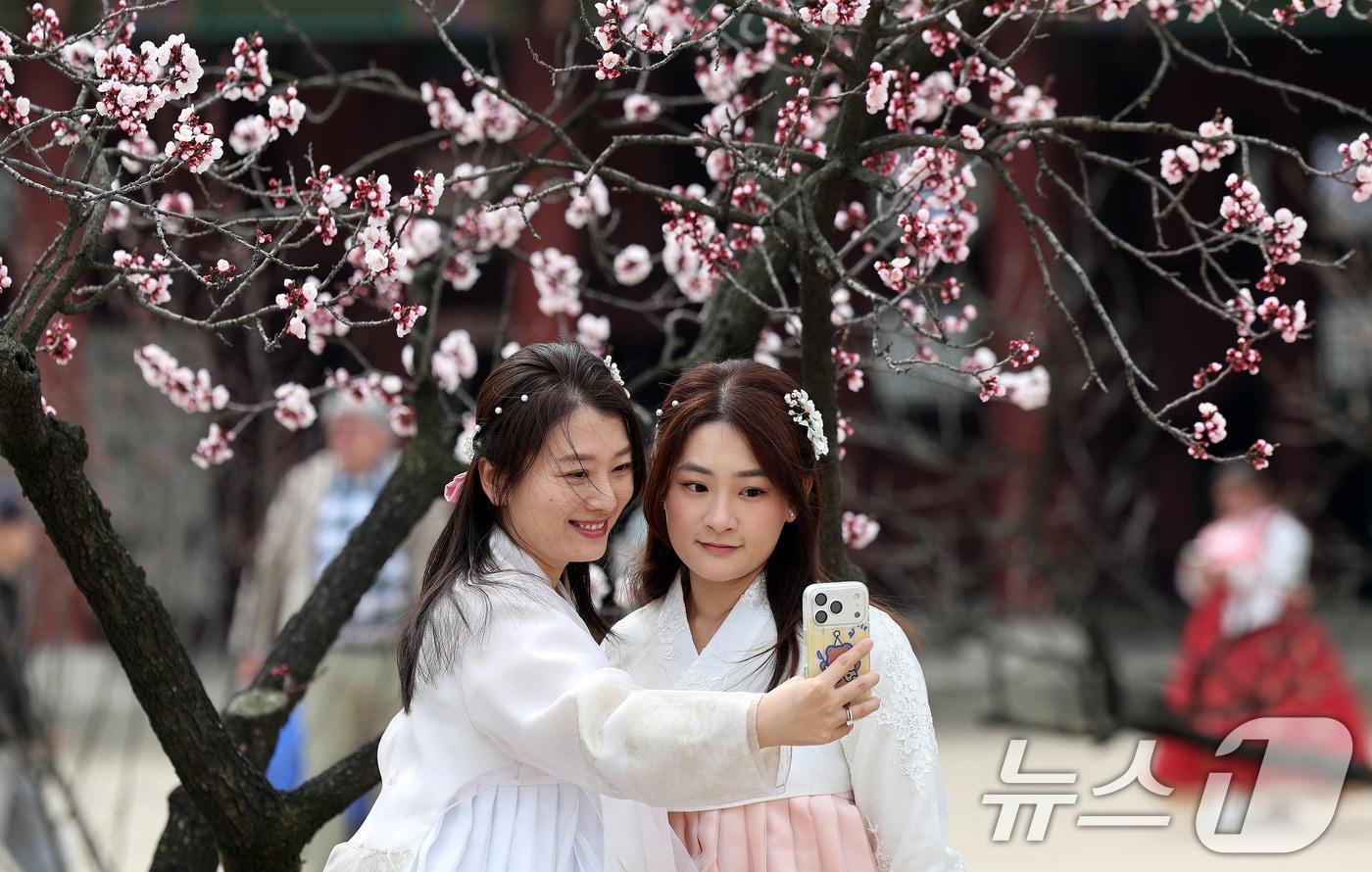 본문 이미지 - 포근한 날씨를 보인 29일 서울 종로구 경복궁을 찾은 외국인관광객들이 봄꽃을 배경으로 추억을 남기고 있다. 2026.3.29 ⓒ 뉴스1 박지혜 기자