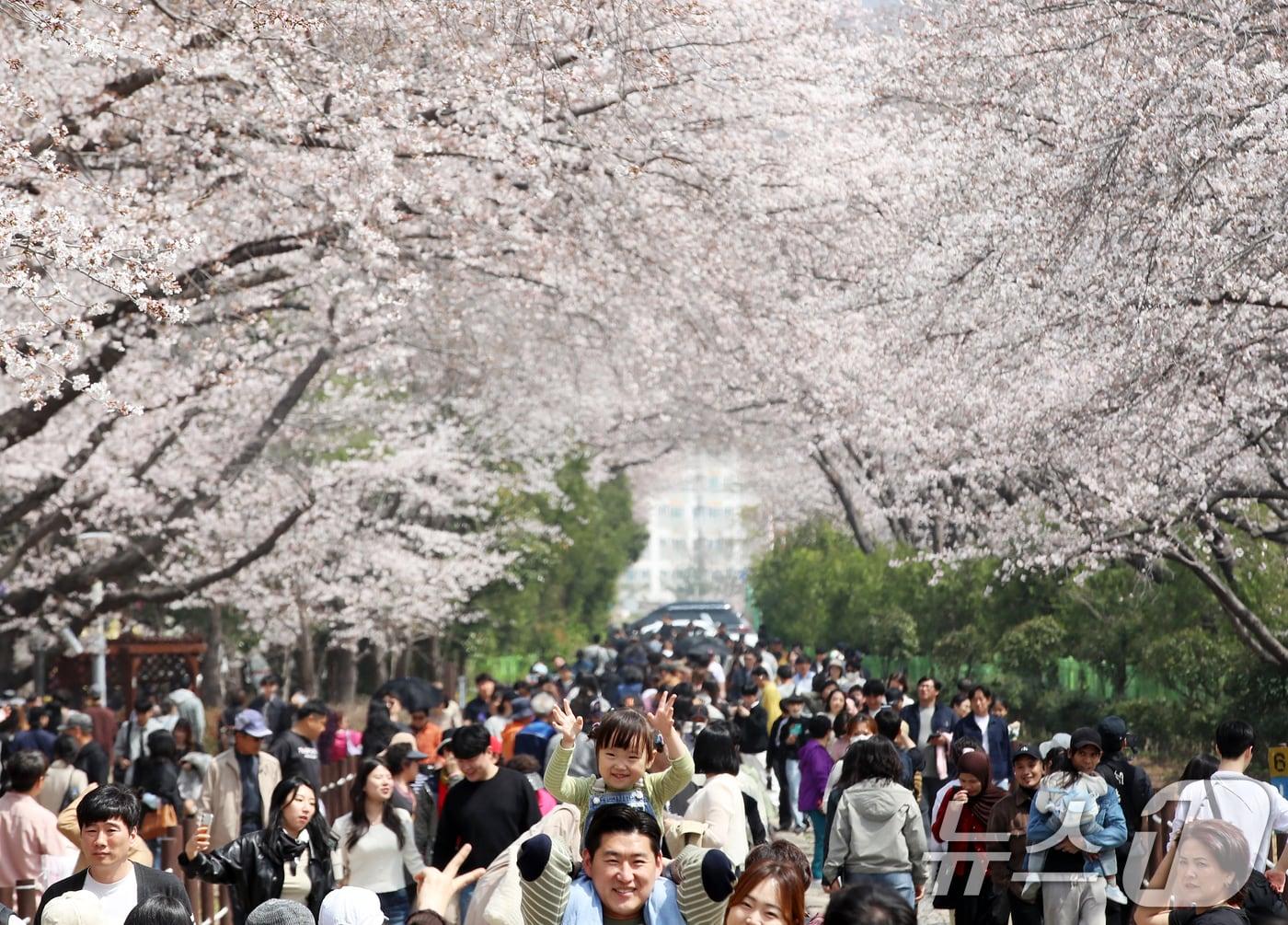 본문 이미지 - 전국 최대 벚꽃 축제인 '제64회 진해군항제'가 열리고 있는 29일 경남 창원 진해구 경화역공원에서 관광객들이 벚꽃을 감상하고 있다. 2026.3.29 ⓒ 뉴스1 윤일지 기자
