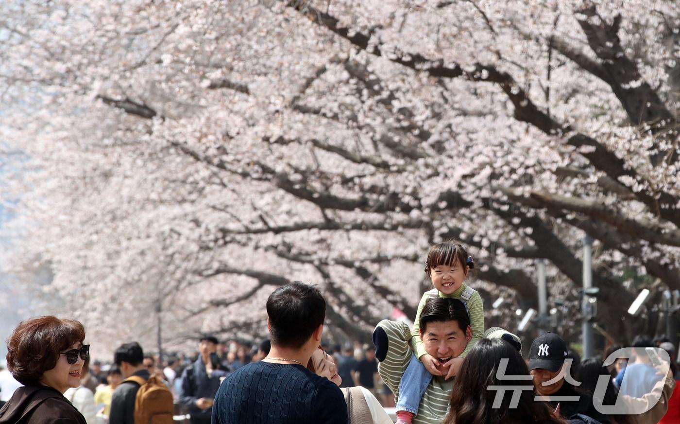 본문 이미지 - 전국 최대 벚꽃 축제인 '제64회 진해군항제'가 열리고 있는 29일 경남 창원 진해구 경화역공원에서 관광객들이 벚꽃을 감상하고 있다. 2026.3.29 ⓒ 뉴스1 윤일지 기자