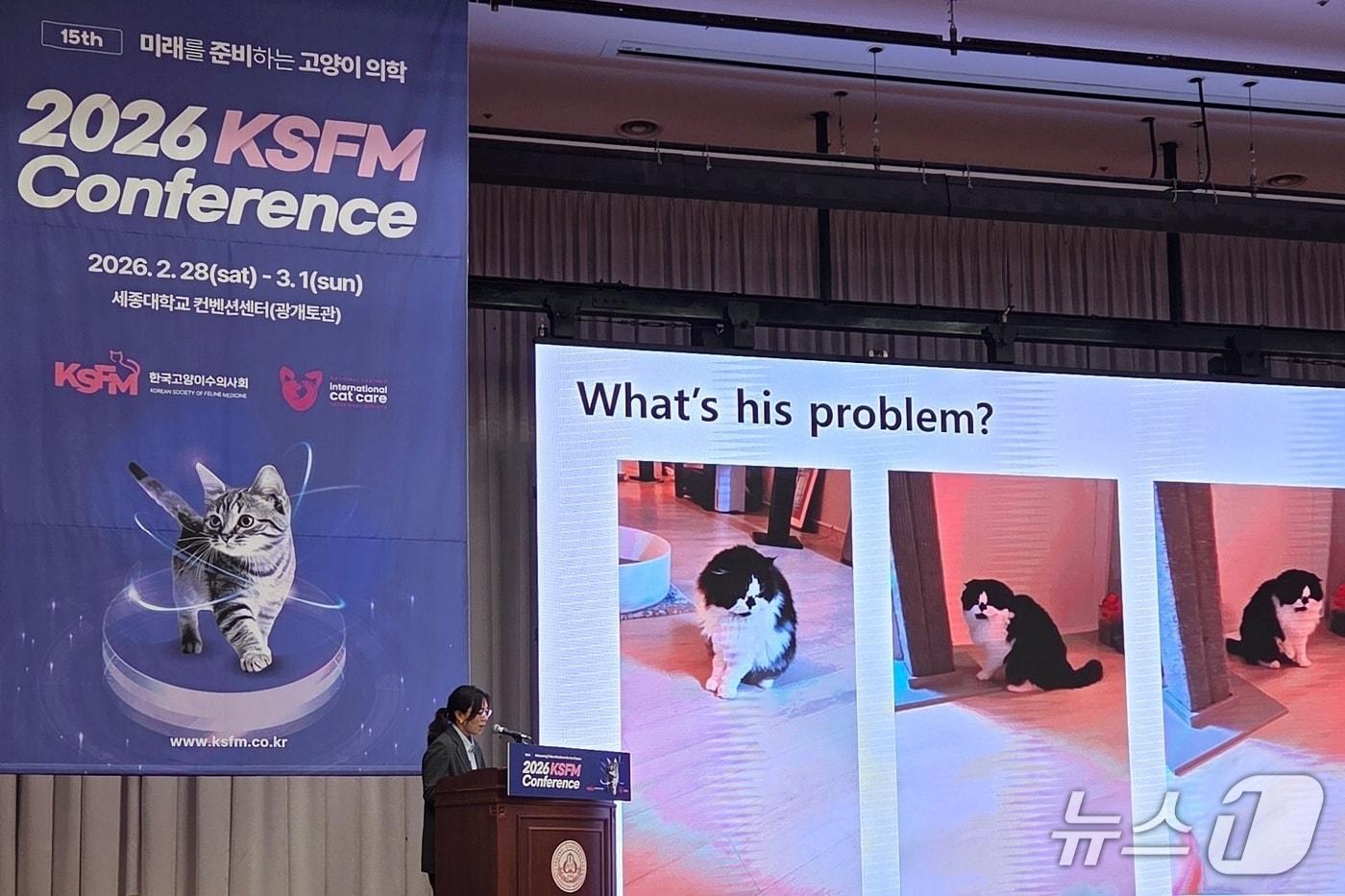 본문 이미지 - 최혜현 잠실온동물의료센터 원장이 1일 서울 광진구 세종대에서 강의를 하고 있다. ⓒ 뉴스1