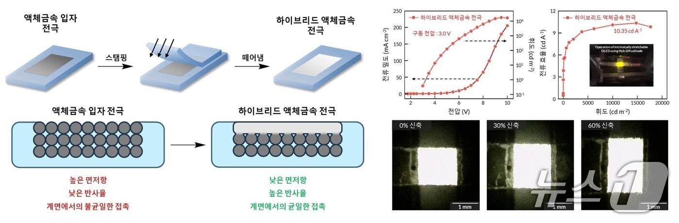본문 이미지 - 하이브리드 액체금속 전극의 구조 및 소자의 성능(KAIST 제공) /뉴스1