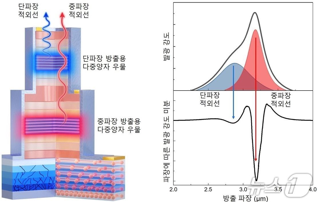 본문 이미지 - 단일 집적형 다중 대역 LED의 모식도 및 방출 파장(전병선 한국표준과학연구원 책임연구원 제공) /뉴스1