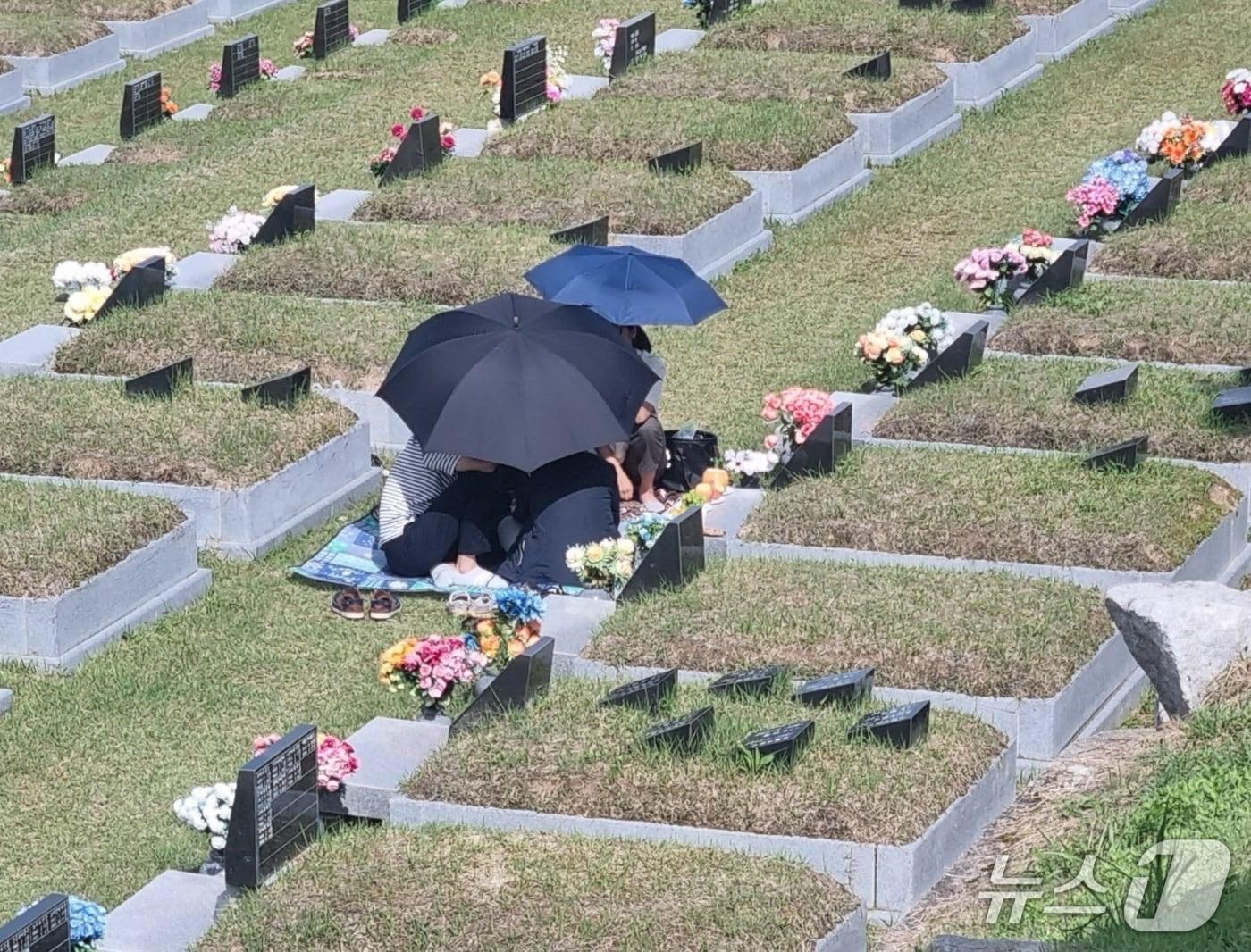 본문 이미지 - 강릉 청솔공원 성묘객 자료사진.(뉴스1 DB)
