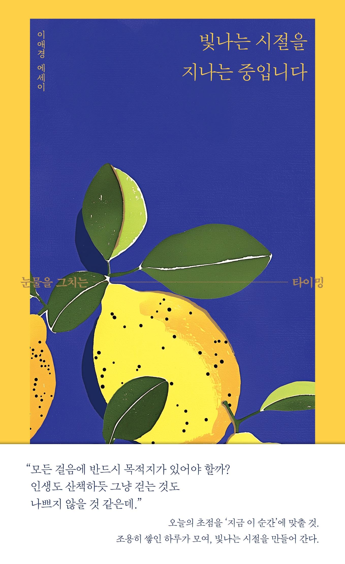 본문 이미지 - '빛나는 시절을 지나는 중입니다'(섬타임즈 제공)