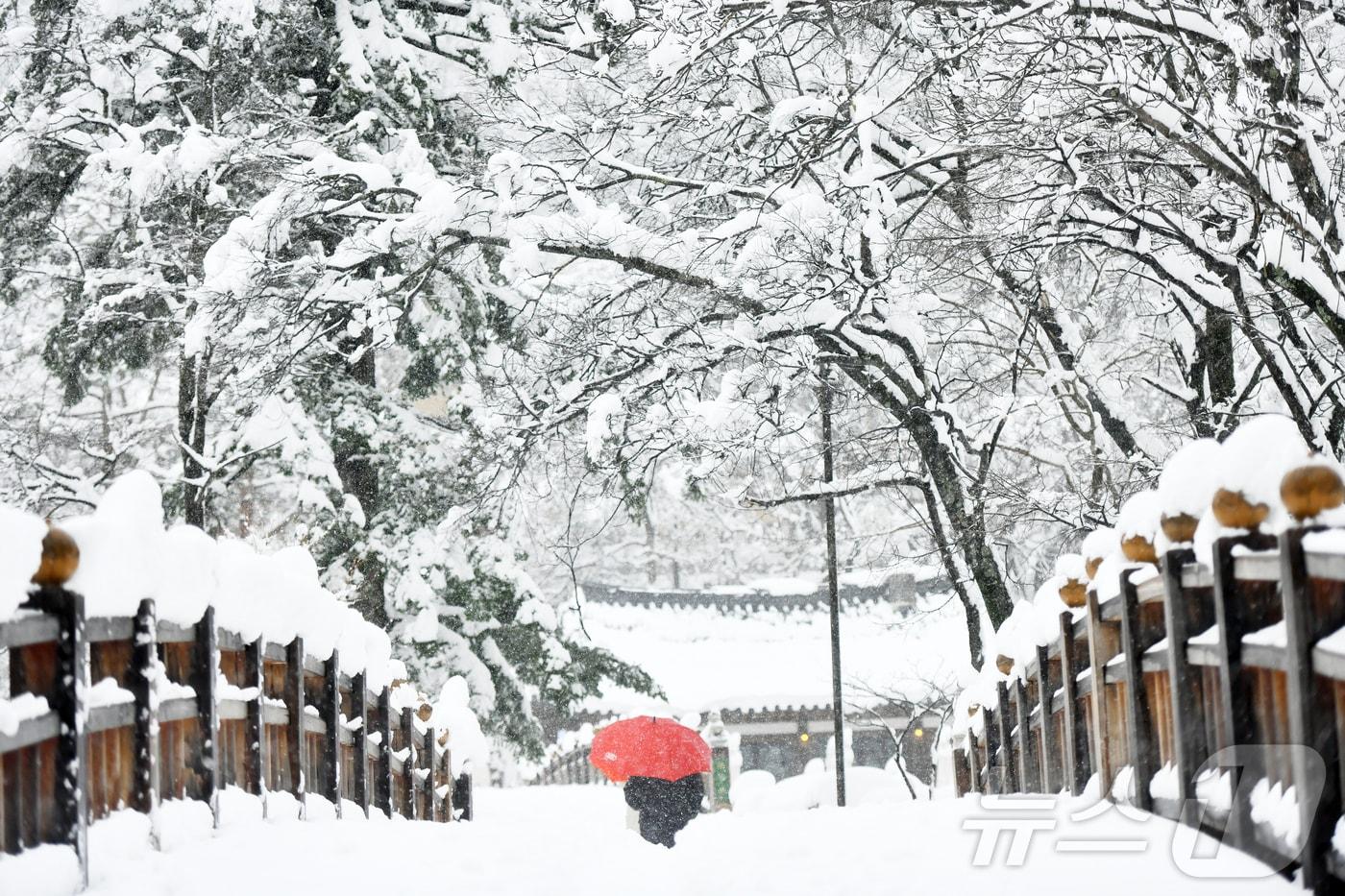 본문 이미지 - 강원 속초시 설악산 소공원에 멋진 설경이 연출되고 있다.(속초시 제공, 재판매 및 DB 금지) 2026.3.3 ⓒ 뉴스1 윤왕근 기자