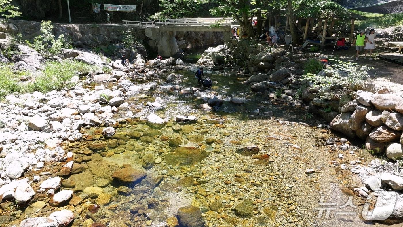 본문 이미지 - 영동군이 오는 9월까지 하천과 계곡 일대 불법시설을 집중 단속에 나선다.(영동군 제공.재판매 및 DB금지)