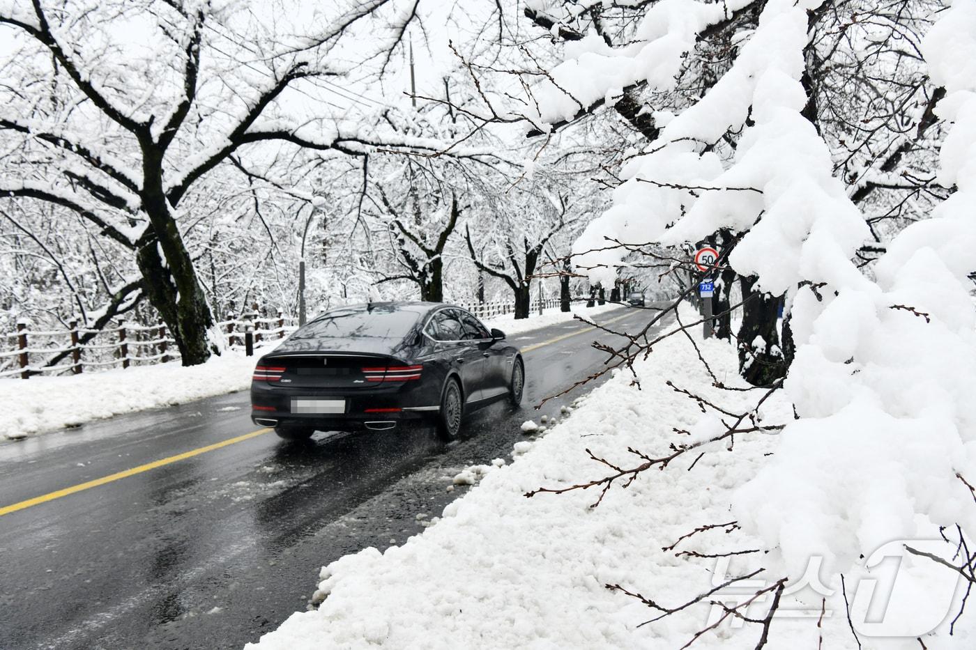 본문 이미지 - 지난 3일 폭설이 내린 강원 속초시 설악산국립공원 진입로 풍경(속초시 제공). 2026.3.3 ⓒ 뉴스1 윤왕근 기자