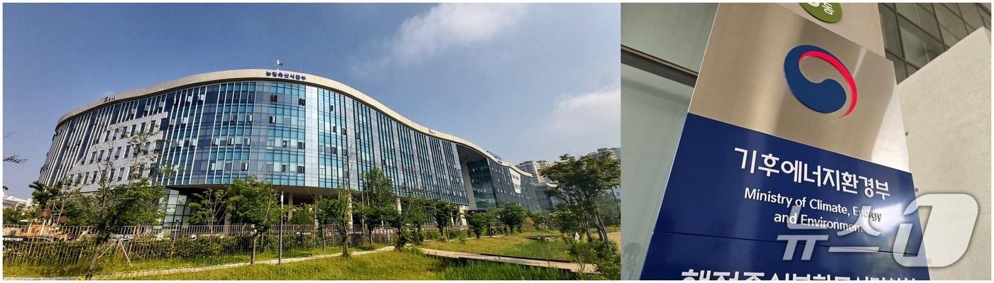 본문 이미지 - ⓒ 뉴스1