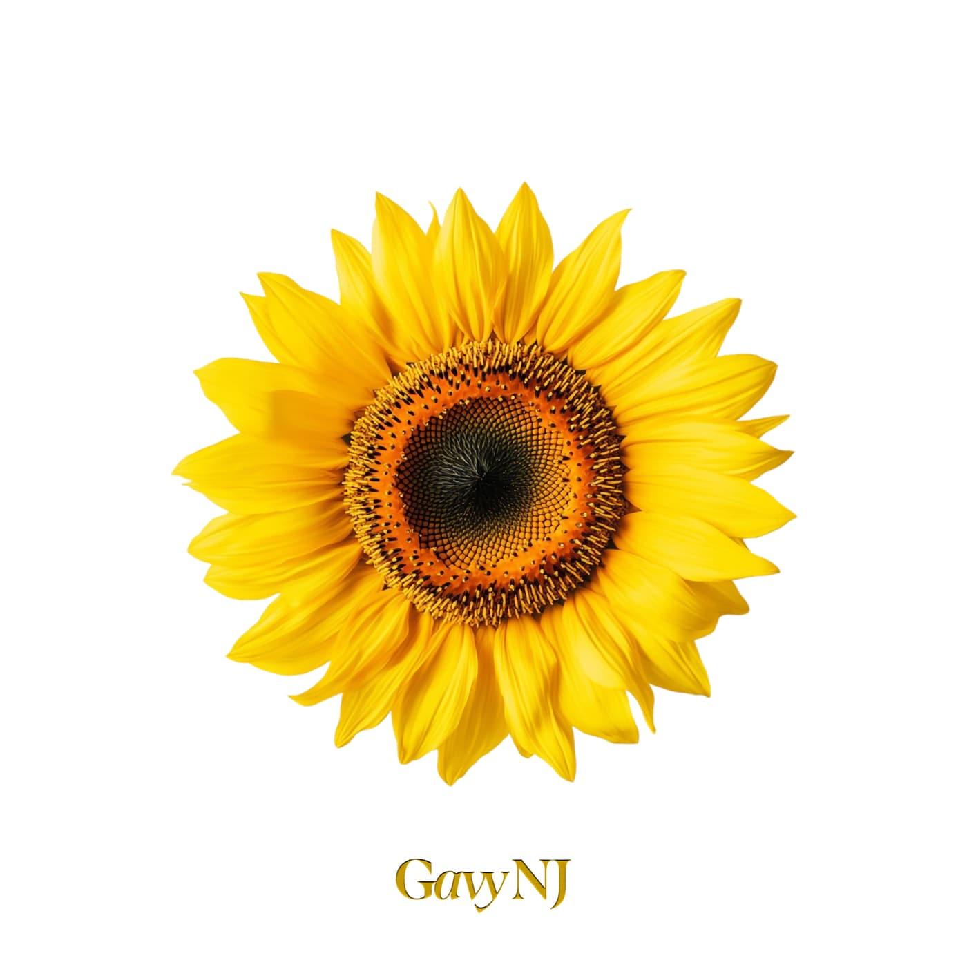 본문 이미지 - 알비더블유, DSP미디어