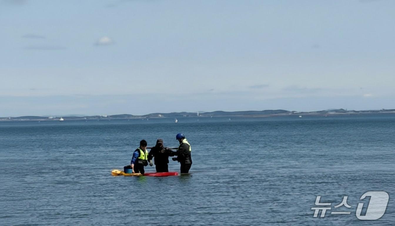 본문 이미지 -  해경이 갯벌에 고립된 50대를 구조 중인 모습. (평택해경 제공, 재판매 및 DB금지) / 뉴스1
