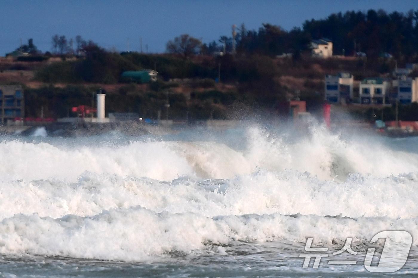 본문 이미지 - 지난 3일 경북 포항시 북구 청하면 월포해수욕장에 높은 파도가 밀려들고 있다. 2026.3.3 ⓒ 뉴스1 최창호 기자