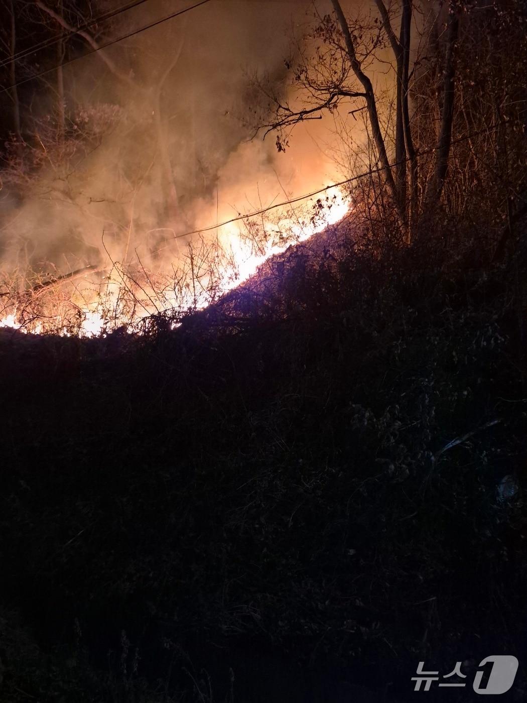 본문 이미지 -  홍성 장곡면 산불 현장. (산림청 제공, 재판매 및 DB금지) / 뉴스1