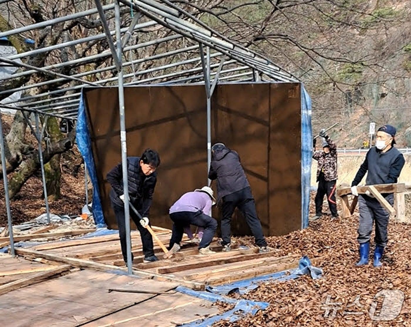 본문 이미지 - 충북 괴산군 청천면 사담마을 주민들이 사담계곡에 설치했던 불법 평상을 자진철거하고 있다.(괴산군 제공. 재판매 및 DB금지)