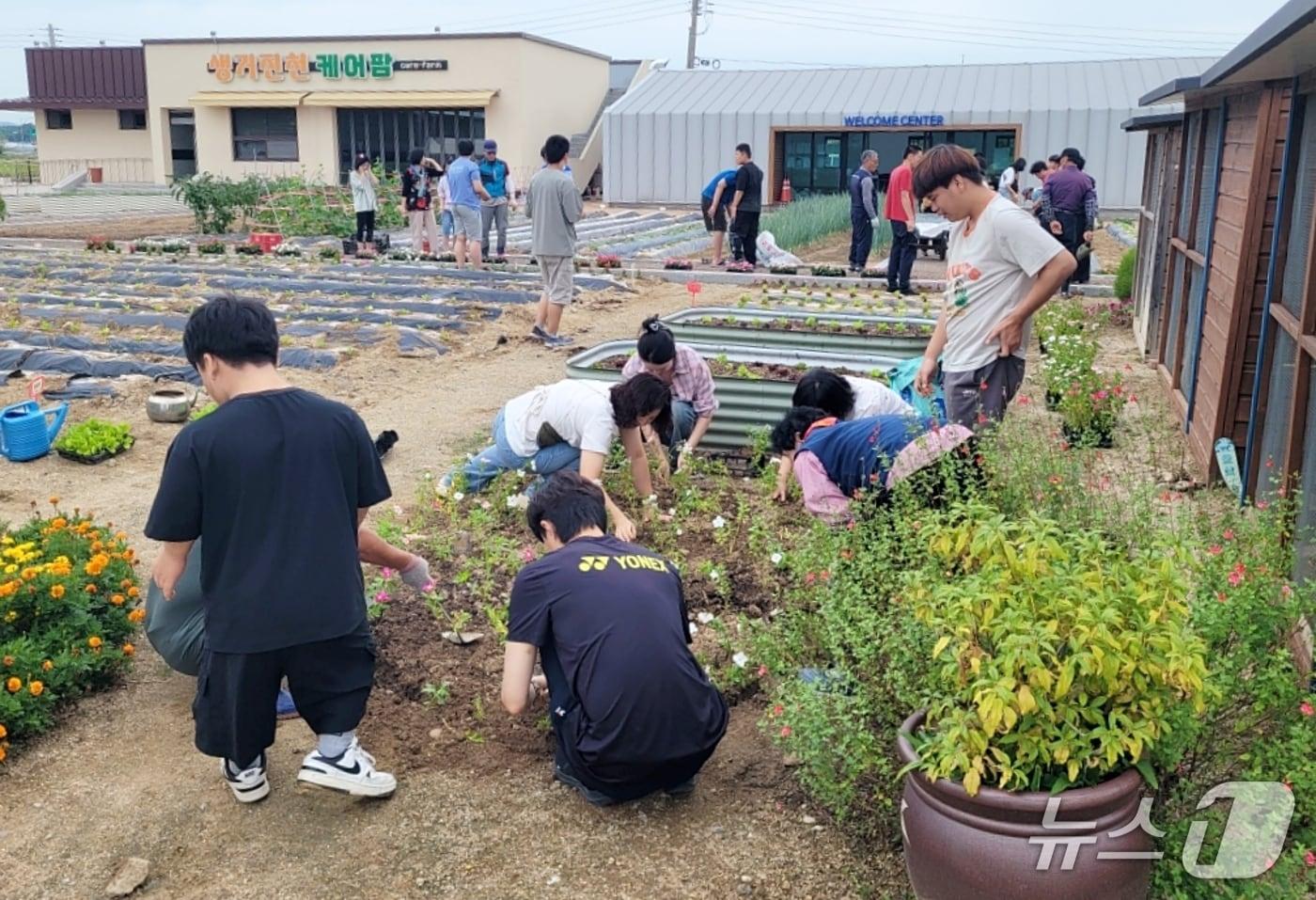 본문 이미지 - 생거진천형 통합돌봄 장애인케어팜 모습.(진천군 제공. 재판매 및 DB금지)