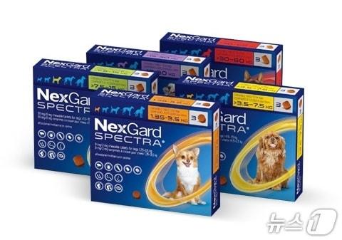 본문 이미지 - 넥스가드 스펙트라(한국베링거인겔하임동물약품 제공) ⓒ 뉴스1
