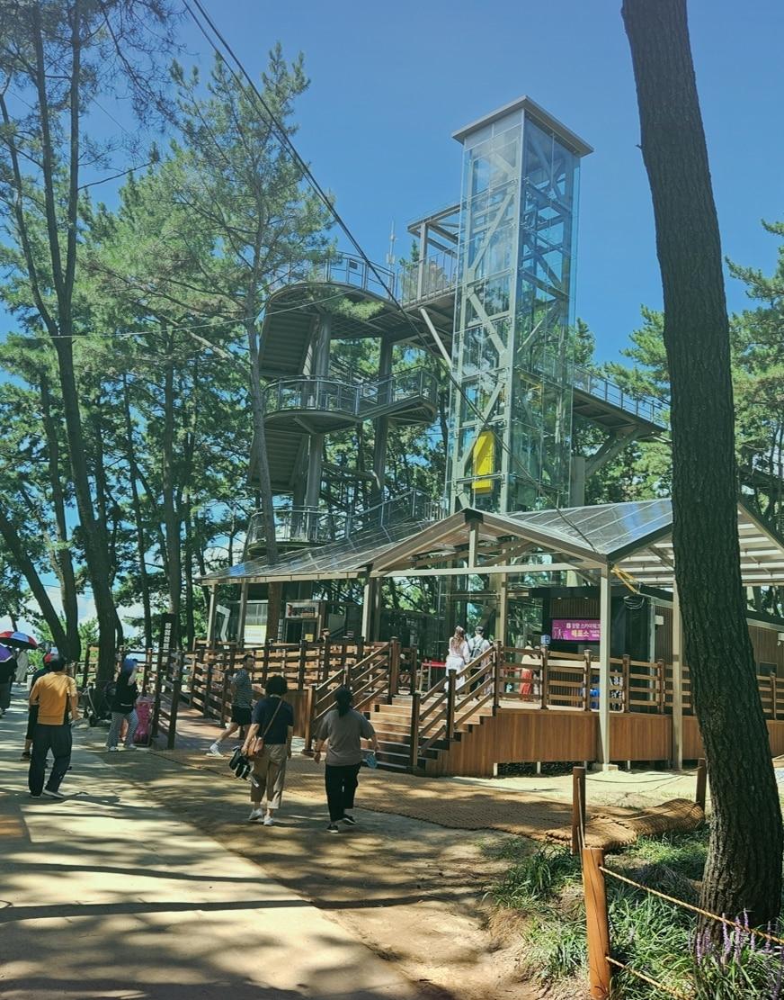 본문 이미지 - 서천 장항스카이워크 매표소 전경.(서천군 제공. 재판매 및 DB금지)/뉴스1