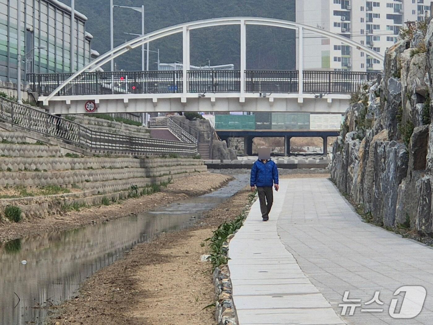 본문 이미지 - 지난 24일 울산 중구 명정천 산책로에서 시민이 걷고 있다.2026.3.31ⓒ 뉴스1 박정현 기자